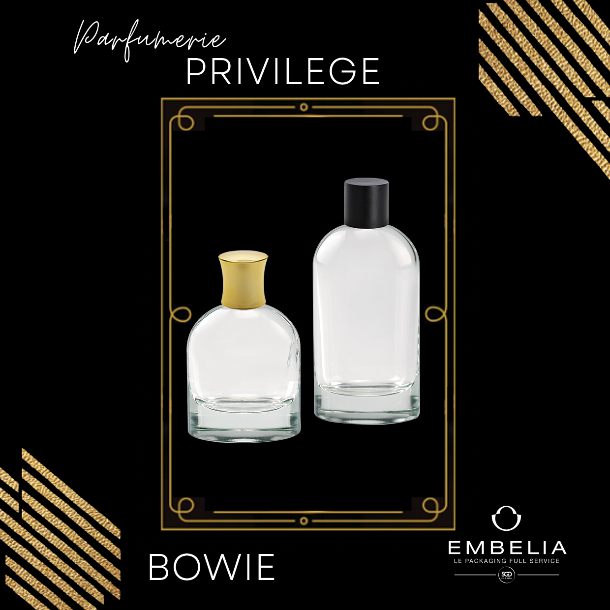 PRIVILEGE BOWIE